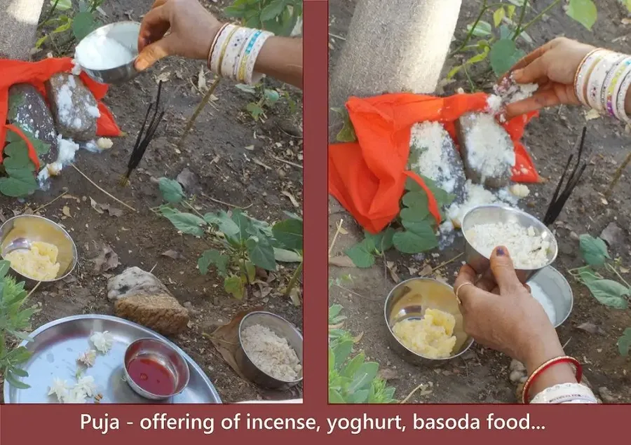 the-day-of-shitala-devi bodyImage